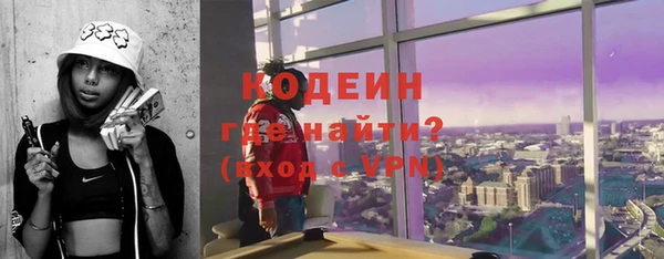 ГАЛЛЮЦИНОГЕННЫЕ ГРИБЫ Дмитриев