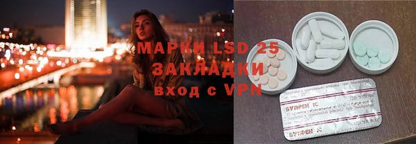 ГАЛЛЮЦИНОГЕННЫЕ ГРИБЫ Дмитриев