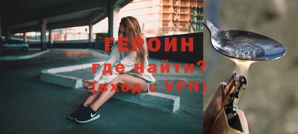 ГАЛЛЮЦИНОГЕННЫЕ ГРИБЫ Дмитриев