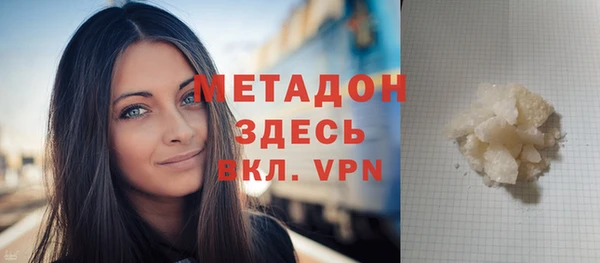 ГАЛЛЮЦИНОГЕННЫЕ ГРИБЫ Дмитриев