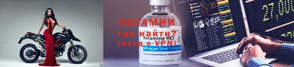 ГАЛЛЮЦИНОГЕННЫЕ ГРИБЫ Дмитриев