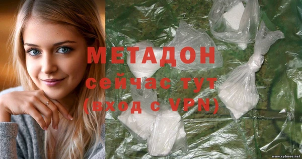 ГАЛЛЮЦИНОГЕННЫЕ ГРИБЫ Дмитриев