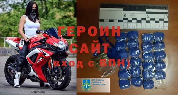 ГАЛЛЮЦИНОГЕННЫЕ ГРИБЫ Дмитриев
