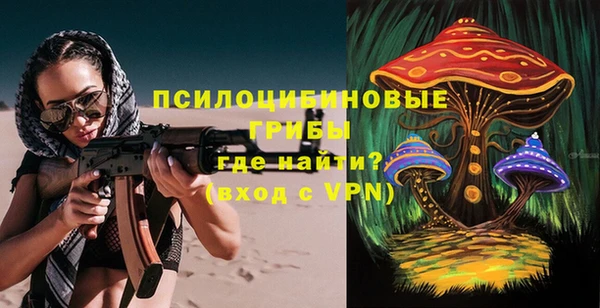 дживик Елизово