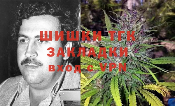 ГАЛЛЮЦИНОГЕННЫЕ ГРИБЫ Дмитриев