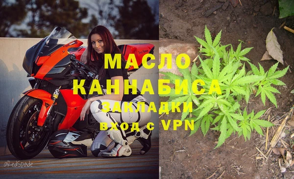 ГАЛЛЮЦИНОГЕННЫЕ ГРИБЫ Дмитриев