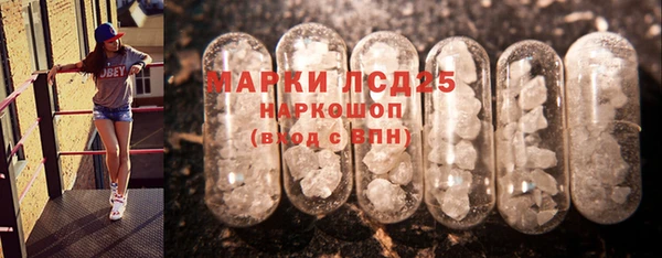 ГАЛЛЮЦИНОГЕННЫЕ ГРИБЫ Дмитриев
