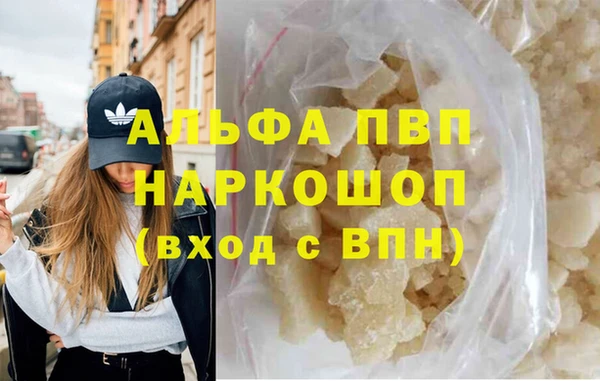 ГАЛЛЮЦИНОГЕННЫЕ ГРИБЫ Дмитриев