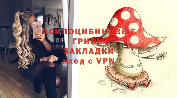 каннабис Дмитров