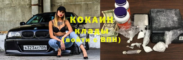 ГАЛЛЮЦИНОГЕННЫЕ ГРИБЫ Дмитриев
