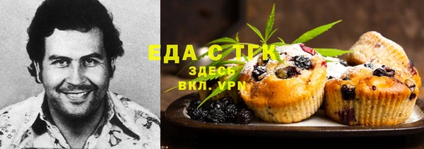 ГАЛЛЮЦИНОГЕННЫЕ ГРИБЫ Дмитриев