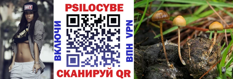 Купить где  Колпашево  Галлюциногенные грибы ЛСД 